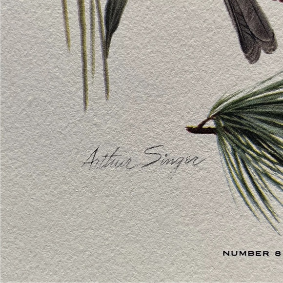 Vintage Arthur Singer Bird Prints Set Of 8 - Picture 11 of 13